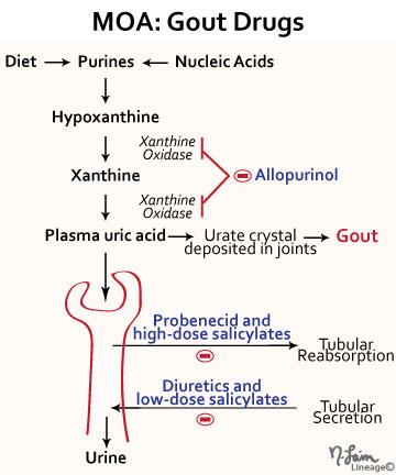 drug used to treat gout