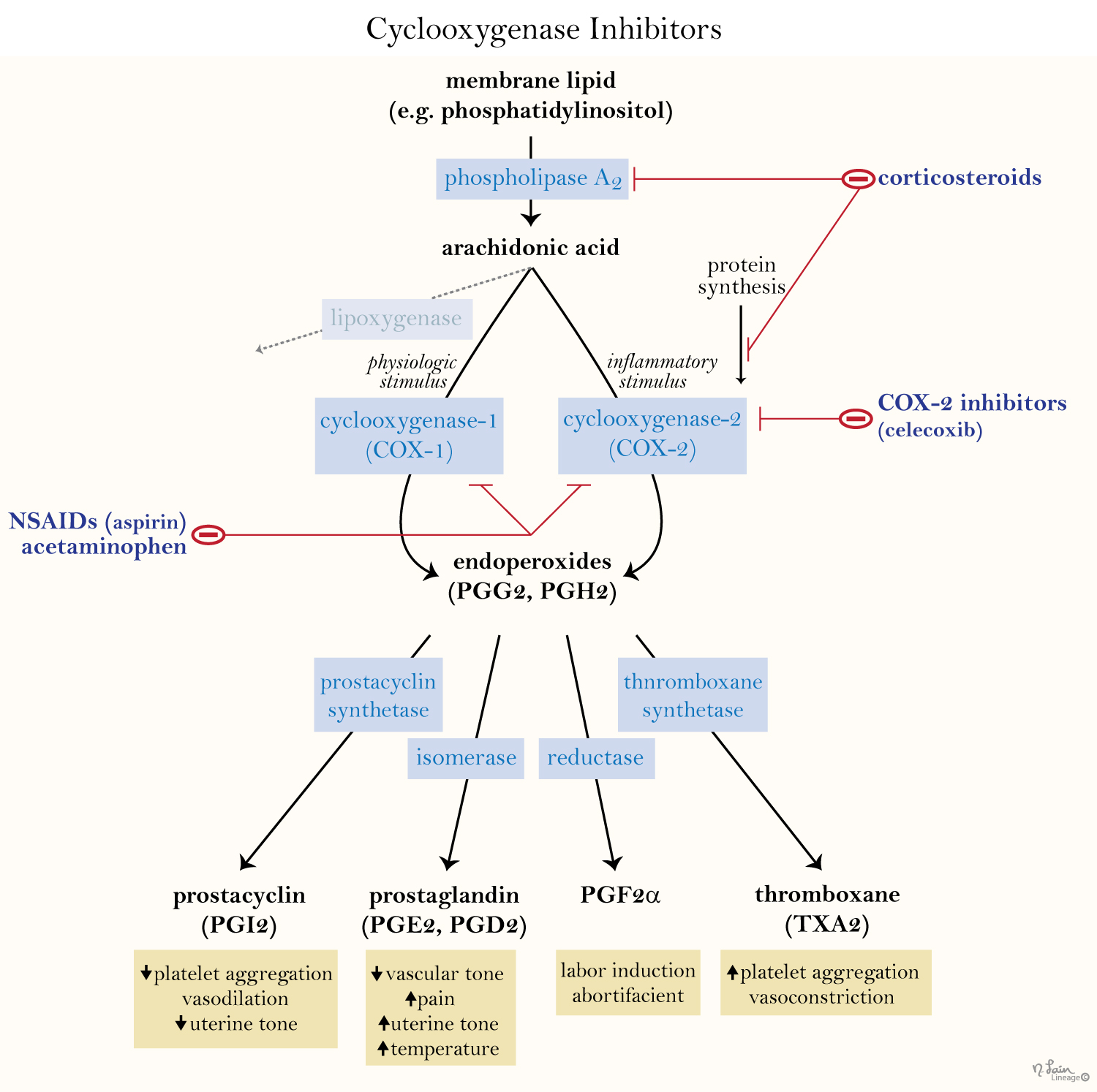 Nonsteroidal Anti Inflammatory Drugs Nsaids Msk Medbullets