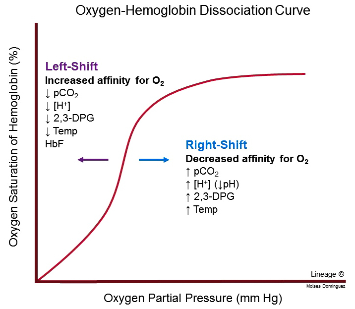 Oxygen-Hemoglobin Dissociation Curve - Respiratory - Medbullets Step 1