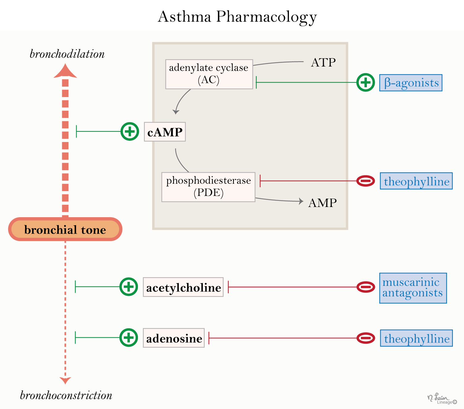 Asthma Treatment Step Chart